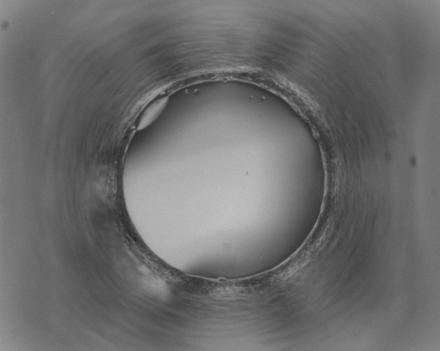 X0000076081169200610061609