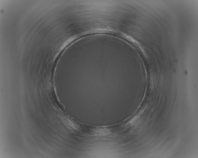 X0000076081170200610061608