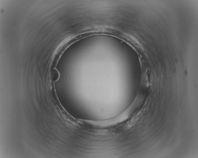 X0000076081172200610061608