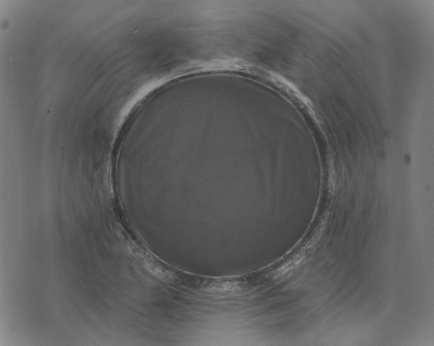 X0000076081174200610061608