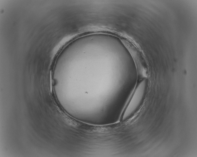 X0000076081175200610061608