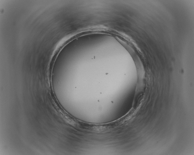 X0000076081176200610061608