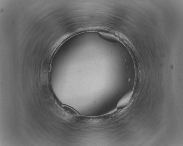 X0000076081177200610061608