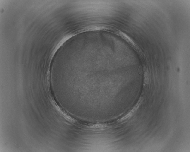 X0000076081178200610061608