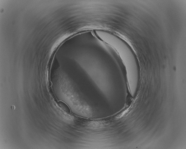 X0000076081179200610061608