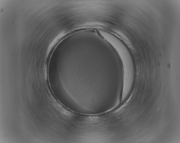 X0000076081180200610061608