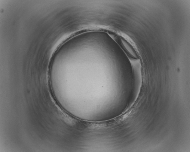 X0000076081183200610061608