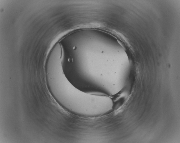 X0000076081184200610061608