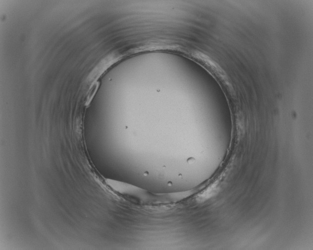 X0000076081185200610061608