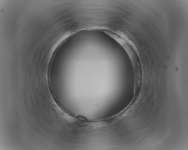 X0000076081189200610061608