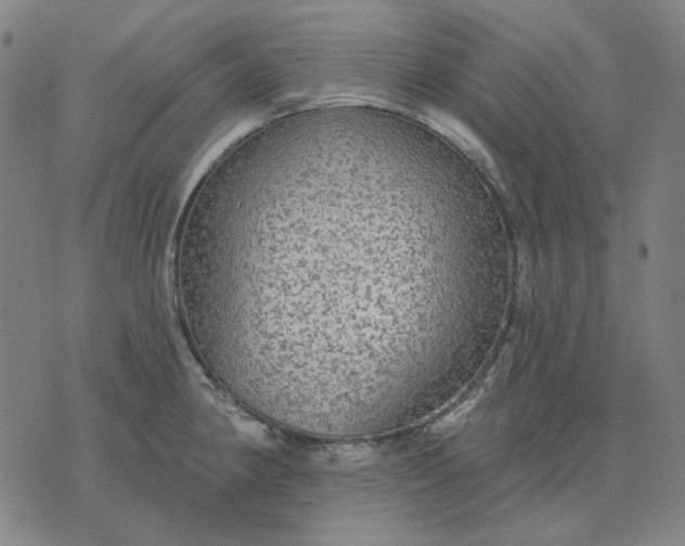 X0000076081190200610061608