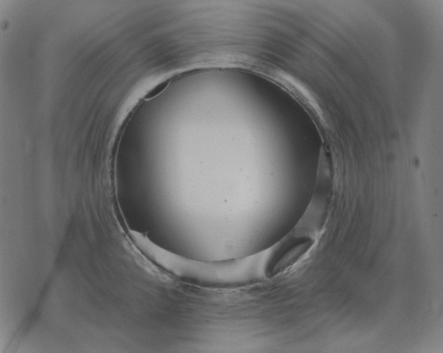 X0000076081192200610061608