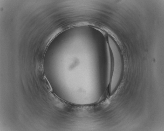 X0000076081193200610061608