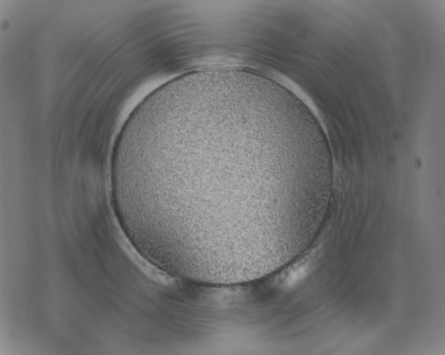 X0000076081195200610061608