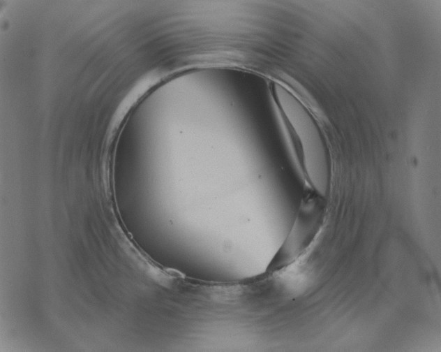 X0000076081196200610061608