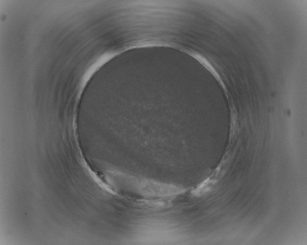 X0000076081197200610061608