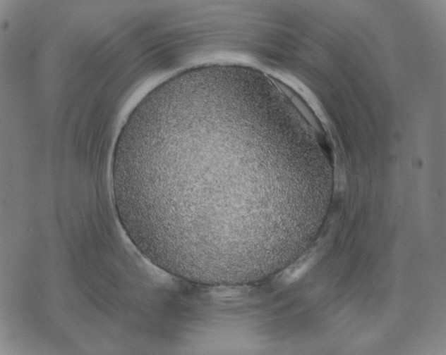 X0000076081199200610061608