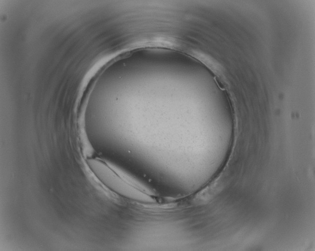 X0000076081200200610061608