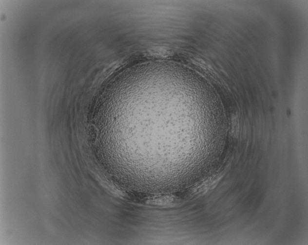 X0000076081201200610061607