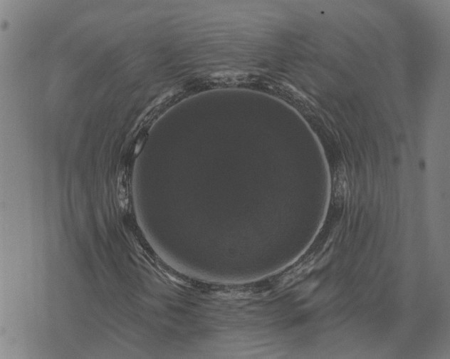 X0000076081202200610061607