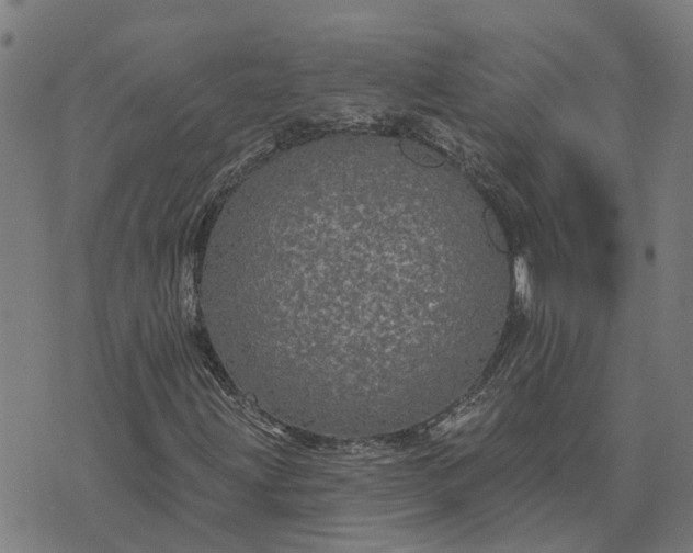 X0000076081203200610061607