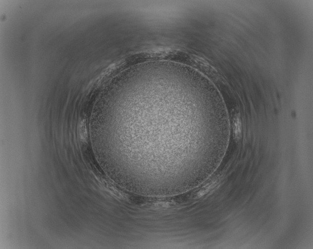 X0000076081204200610061607