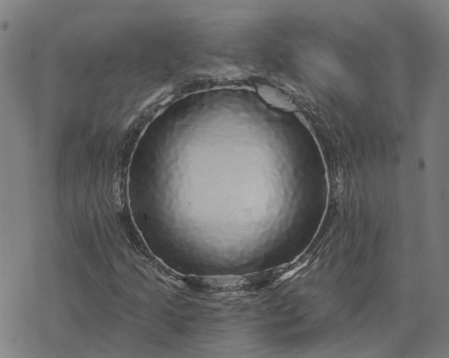 X0000076081205200610061607