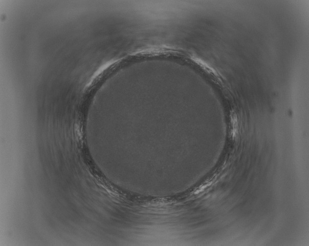 X0000076081206200610061607