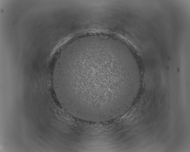 X0000076081207200610061607