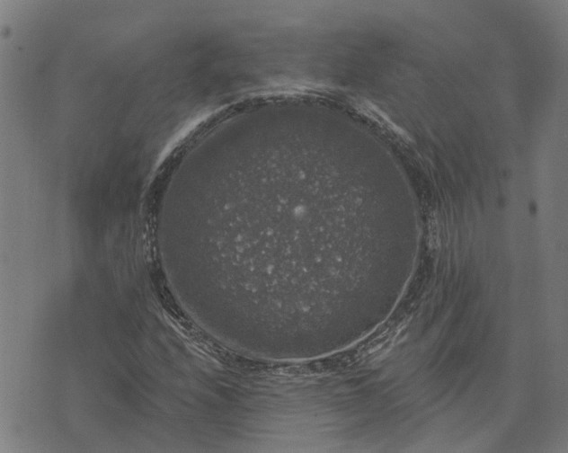 X0000076081208200610061607