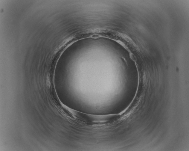 X0000076081209200610061607