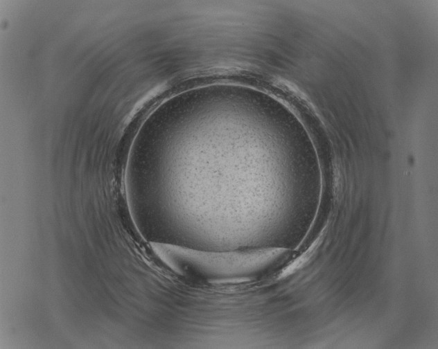 X0000076081210200610061607