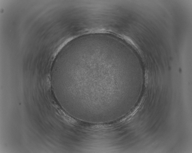 X0000076081212200610061607