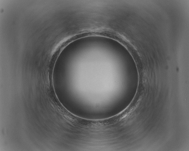 X0000076081214200610061607