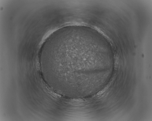 X0000076081215200610061607