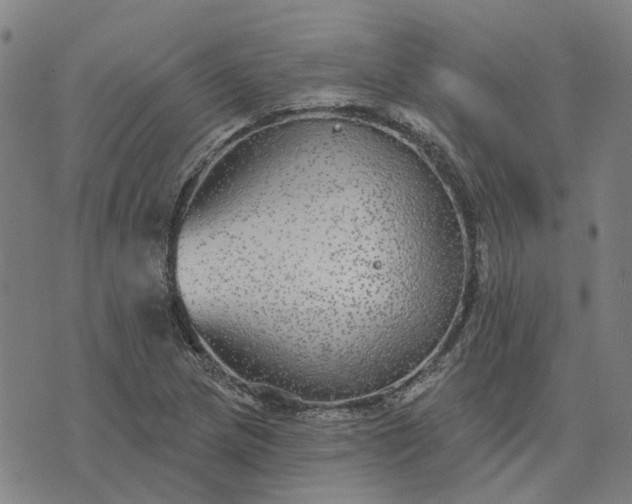 X0000076081217200610061607