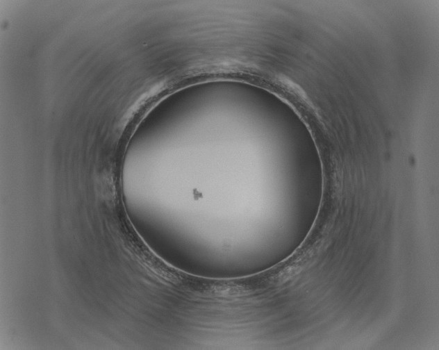 X0000076081218200610061607