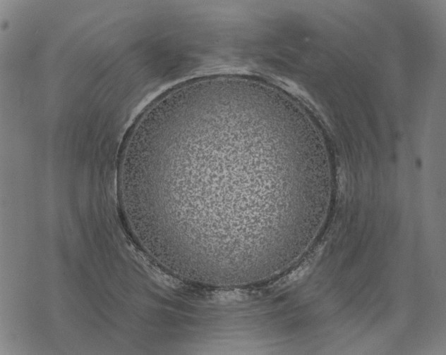 X0000076081220200610061608