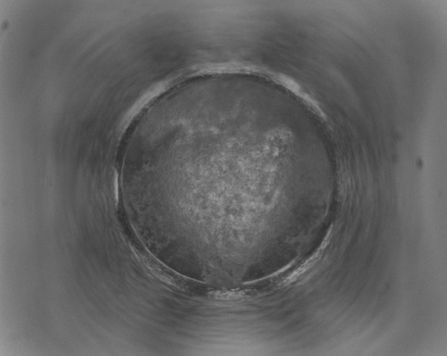 X0000076081221200610061608