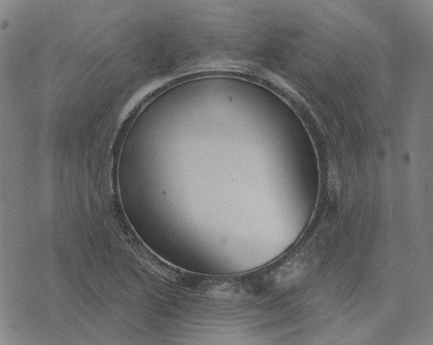 X0000076081222200610061608