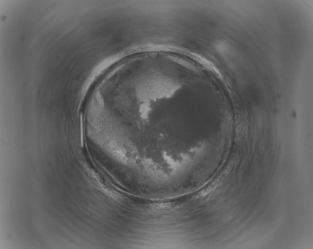 X0000076081223200610061608