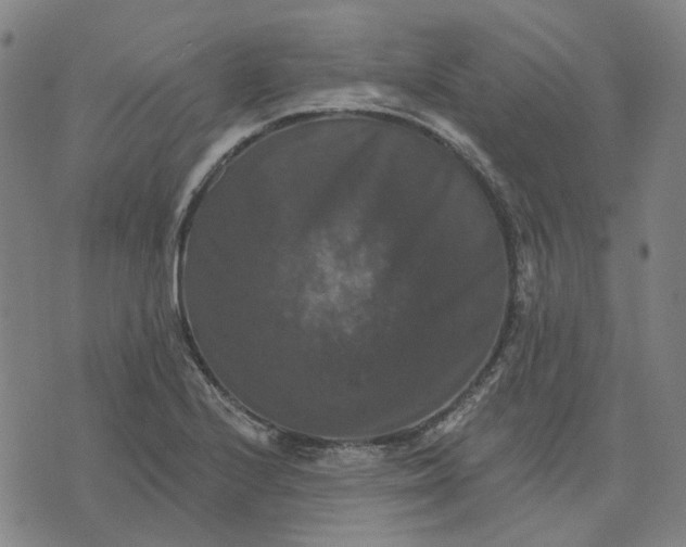 X0000076081224200610061608