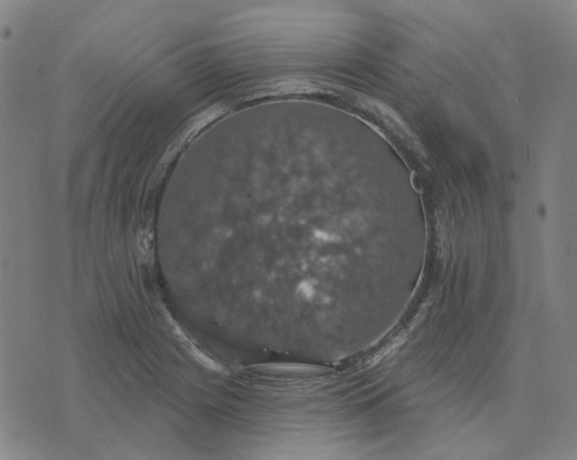 X0000076081225200610061608