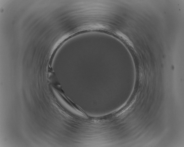 X0000076081226200610061608