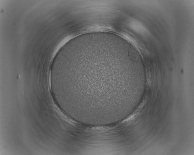 X0000076081227200610061608