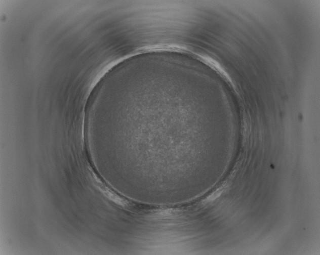 X0000076081228200610061608