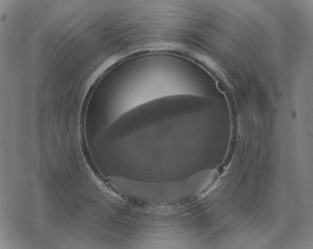 X0000076081229200610061608