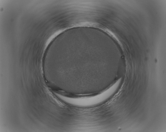 X0000076081230200610061608