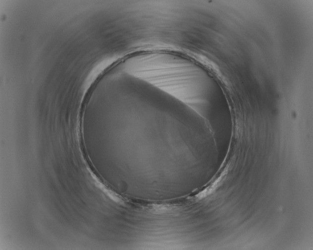 X0000076081231200610061608