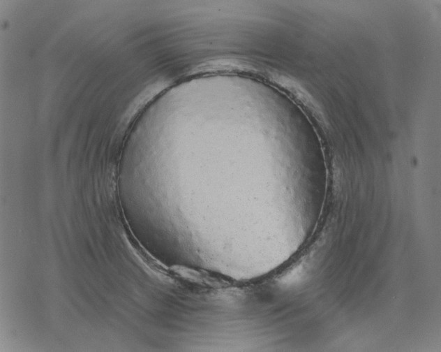 X0000076081233200610061608